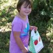 Ella Watts of Southport begins picking apples at Clark’s Cove Farm in Walpole. KEVIN BURNHAM/Boothbay Register