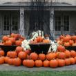 Piled into wheelbarrows and displayed here, there, and everywhere, pumpkins in all shapes and sizes will be free to visitors beginning on October 28, while supplies last. Courtesy of Barbara Freeman