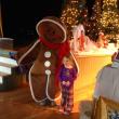 Gingerbread man