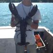 Photo of Andrew Goode and lobster