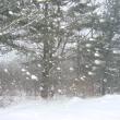 snow blowing snow snowstorm Alna Maine