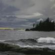 Peter Sculthorpe