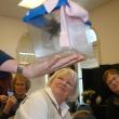 big brown bat Wiscasset Garden Club Chewonki Foundation