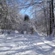 Photo of ski trail at HIdden Valley Nature Center