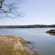 Cross River