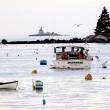 lobstermen working