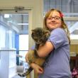 animal shelter cat fundraiser