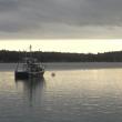maine lobster lobsterboat