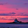 Photo of Cuckolds Light