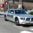 Photo of BHPD car