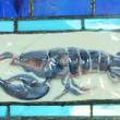 Macdonald Stained Glass