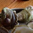 Glidden Point Oyster's Ledges
