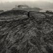 David Wolk photograph