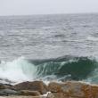 Lisa Kristoff/Boothbay Register
