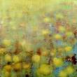 Waterlilies by Camille Davidson