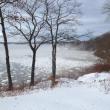 Photo snowy coastline