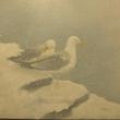 “Windy Winter Day,” Mark T. Reilly