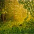 Misty Morn 5, pastel by Jan Roberson