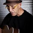 Singer songwriter Tim Rice