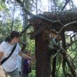 photo of outdoor hike