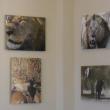 Kelly P. Brook’s African images