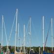 “Harbor Masts,” Tom Knobloch