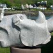Rhino by Don J Meserve at Studio 53