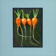 Jean Beal’s “Sweet Adelines”