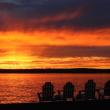 Last Light of Summer - Pamela Logan