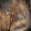 Winter Road, Kerry Michaels of Freeport