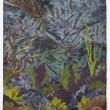 Sheer Wild Wonder by Betsy Abbott