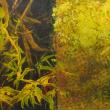 Maine artist Ed McCartan