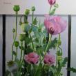 Poppies by Liliana Thelander
