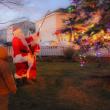 Harbor Lights 2016