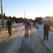 Christmas Bird Count, Matinicus Island, birds, birders, Maine, jeff wells