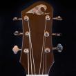 Big Wave Guitars logo