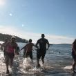Penguin Plunge 2017