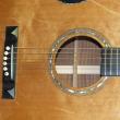 Big Wave Guitars