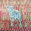 Open Season on Coyote by Sandra Crowell