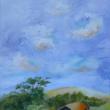 Lynne Seitzer