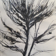 Leonard Meiselman