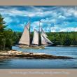 David Higgins - Portland, ME artist