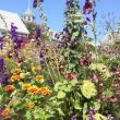 LISA KRISTOFF/Boothbay Register