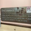 Boothbay Canine, Carole Jordan, dogs, kennel, business