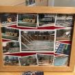 Boothbay Canine, Carole Jordan, dogs, kennel, business