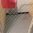 Boothbay Canine, Carole Jordan, dogs, kennel, business