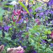 Coastal Maine Botanical Gardens in Oct.