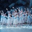 The New York City Ballet 