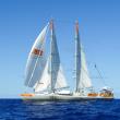 Tara at sea - Maeva Bardy Tara Expeditions Foundation
