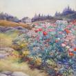 Maud Briggs Knowlton